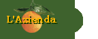 Azienda